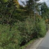 RESTAURACE NA BLATOVĚ