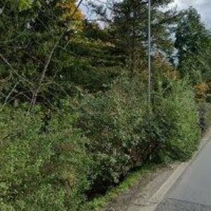 obrazek: avatar RESTAURACE NA BLATOVĚ