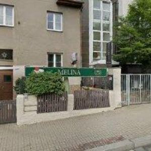 obrazek: avatar BAR CHAMELEON