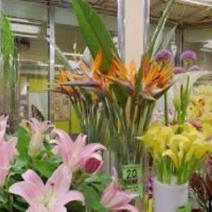 obrazek: avatar HOTEL PRAGUE INN