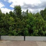 HOTEL CÍSAŘKA s.r.o.