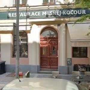 obrazek: avatar MLSNEJ KOCOUR