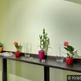 VIDLIČKY A NOŽE STRAŠNICE