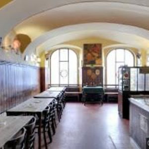 obrazek: avatar U ZLATÉHO TYGRA