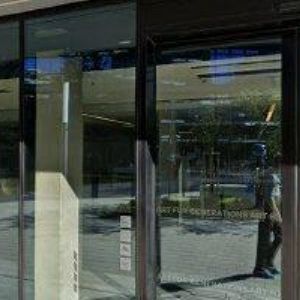 obrazek: avatar KOLKOVNA ARGENTINSKÁ