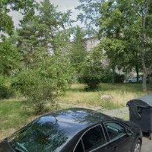 obrazek: avatar PIZZERIA RISTORANTE VERANDA