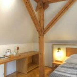 obrazek: avatar HOTEL A RESTAURACE U ZLATÝCH NŮŽEK, s.r.o.