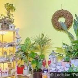 obrazek: avatar PIZZA FINEZZA