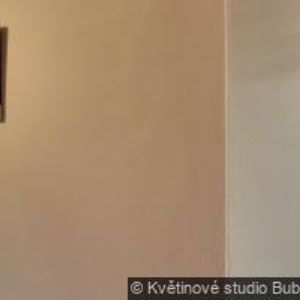 obrazek: avatar MALOSTRANSKÝ RESTAURANT POD PETŘÍNEM