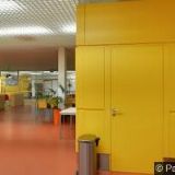 FAST & HEALTHY FOOD SERVICES