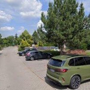 obrazek: avatar EL ASADOR