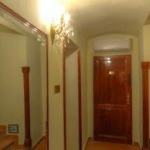 obrazek: avatar OLIVA NERA