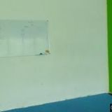 ČÍNSKÁ RESTAURACE-ZHONG HUA XIAO DANG JIA