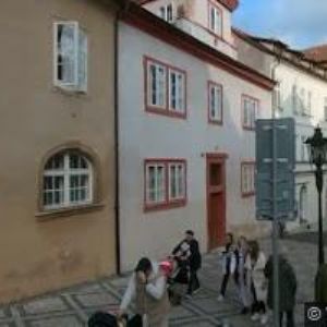 obrazek: avatar CPBRANDS