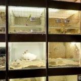 CUKRÁRNA ZÁVODSKÁ