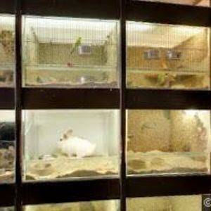 obrazek: avatar CUKRÁRNA ZÁVODSKÁ