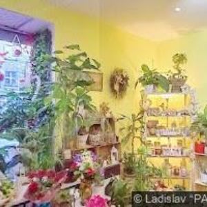 obrazek: avatar ZMRZLINÁRNA BRANÍK