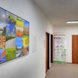 obrazek: avatar KAVÁRNA-CUKRÁRNA ELVÍRA