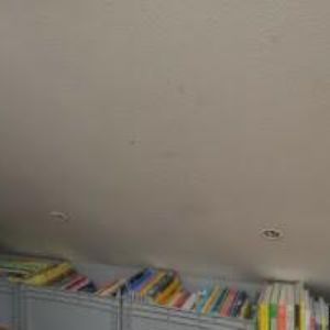 obrazek: avatar KNIHKOPEC