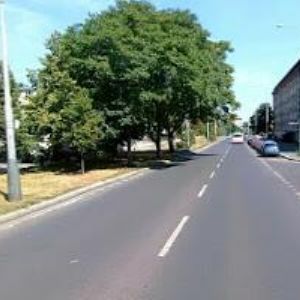 obrazek: avatar CESTA VEN z.s.