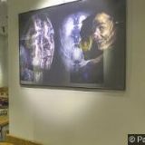 KAVÁRNA A GALERIE CAFÉ KAMPUS