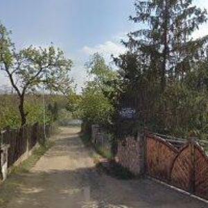 obrazek: avatar PRÁŠIL RENÉ