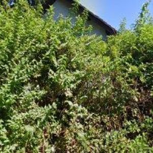 obrazek: avatar DRAHOTA PETR-KOVOVÝROBA