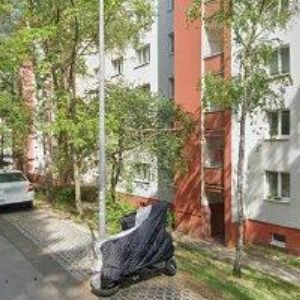 obrazek: avatar CZEIZEL JOSEF