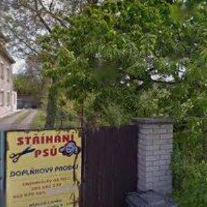 obrazek: avatar HLÁSNÝ KAREL-VODO, TOPO, PLYN