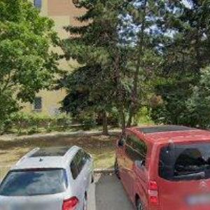 obrazek: avatar ZRNA DOBROSLAV