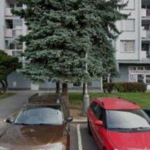 obrazek: avatar MAŠEK VLADIMÍR