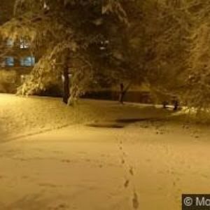 obrazek: avatar DRDA ONDŘEJ