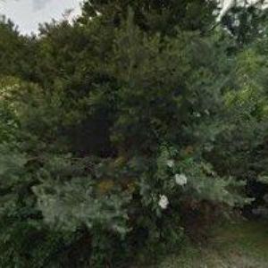 obrazek: avatar VETERAN SERVIS