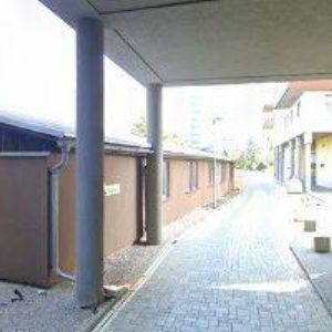 obrazek: avatar BUDAČ TOMÁŠ