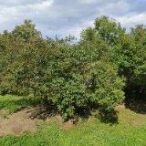 VER MONT-VÝŠKOVÉ PRÁCE