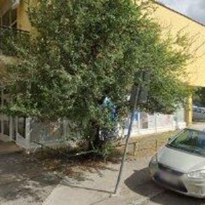 obrazek: avatar BALKAP, s.r.o.