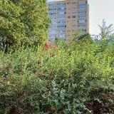 FLOOR RENOVATIONS s.r.o.