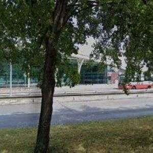 obrazek: avatar ZALEZ.CZ