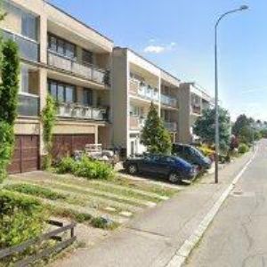 obrazek: avatar PROLIZARD