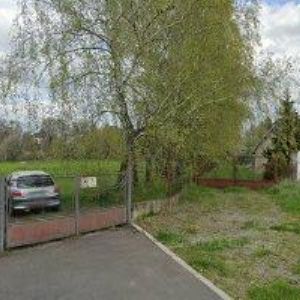 obrazek: avatar KRÁL PAVEL