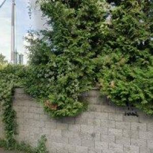 obrazek: avatar KUTILBROUK.CZ