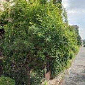 obrazek: avatar PROMSAT CZ s.r.o.