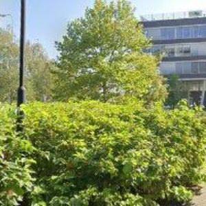 obrazek: avatar DORMAKABA ČESKO, s.r.o.