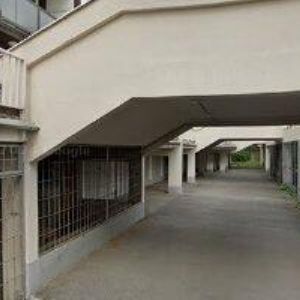 obrazek: avatar ROBERT KOREC-ROKO