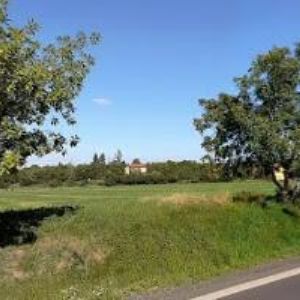 obrazek: avatar PNEUSERVIS MUSIL