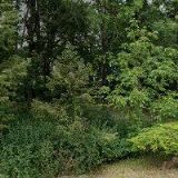 AUTOPŮJČOVNA & AUTOSERVIS & PNEUSERVIS-SOS RENT A CAR