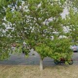 AUTOSKLO STŘÍPEK s.r.o.