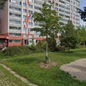 obrazek: avatar ARPCENTRUM