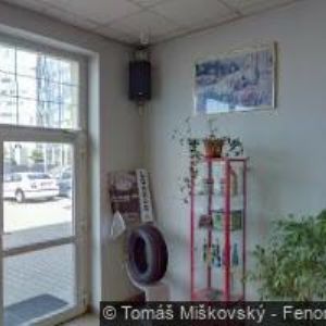 obrazek: avatar PNEU-ŠAFRÁNEK s.r.o.