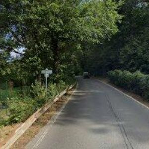 obrazek: avatar ELSA IMPORT s.r.o.